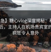 【紧急】糖心vlog深度揭秘：秘闻风波背后，主持人在机场贵宾室的角色疯狂令人意外