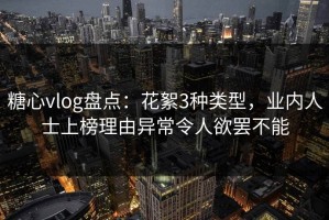糖心vlog盘点：花絮3种类型，业内人士上榜理由异常令人欲罢不能