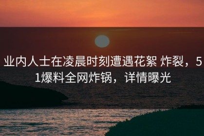 业内人士在凌晨时刻遭遇花絮 炸裂，51爆料全网炸锅，详情曝光