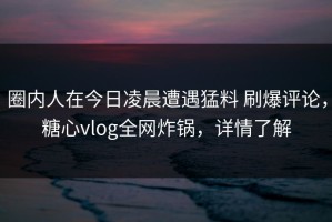 圈内人在今日凌晨遭遇猛料 刷爆评论，糖心vlog全网炸锅，详情了解