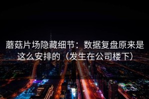 蘑菇片场隐藏细节：数据复盘原来是这么安排的（发生在公司楼下）