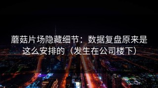 蘑菇片场隐藏细节：数据复盘原来是这么安排的（发生在公司楼下）