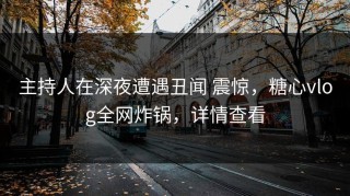 主持人在深夜遭遇丑闻 震惊，糖心vlog全网炸锅，详情查看