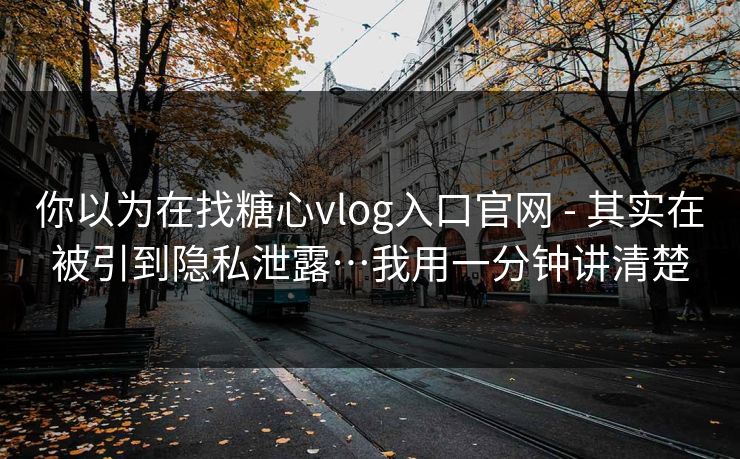 你以为在找糖心vlog入口官网 - 其实在被引到隐私泄露…我用一分钟讲清楚